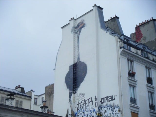 AUTRUCHE-BONOM-RUE-DE-MALTE-