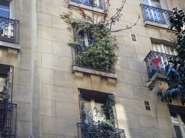 Forêt-au-balcon-rue-Bachaumont