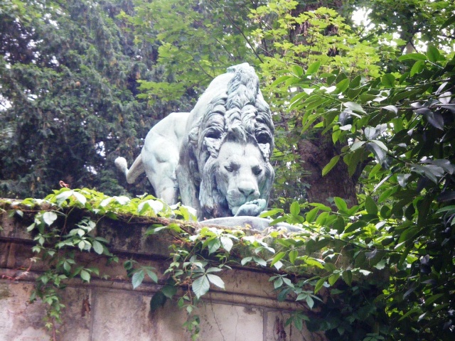 Lion-du-Jardin-des-plantes