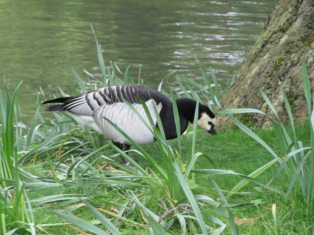 Square des Batignolles