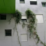 Leitmotiv d'Emmanuel Saadi