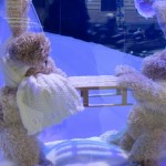 Vitrines des Noël 2013 aux Galeries Lafayette