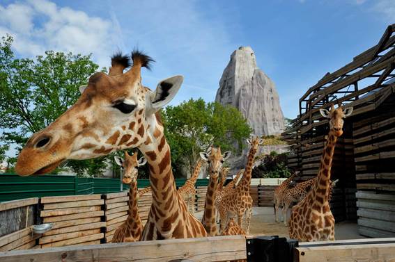 Parc Zoologique de Paris