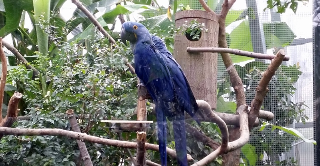 Parc Zoologique de Paris