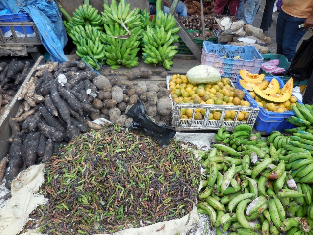 République Dominicaine