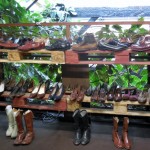 Le Comptoir Général