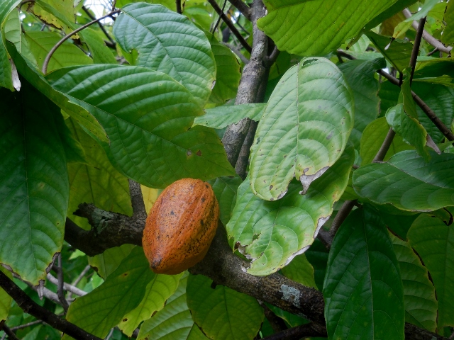 République Dominicaine