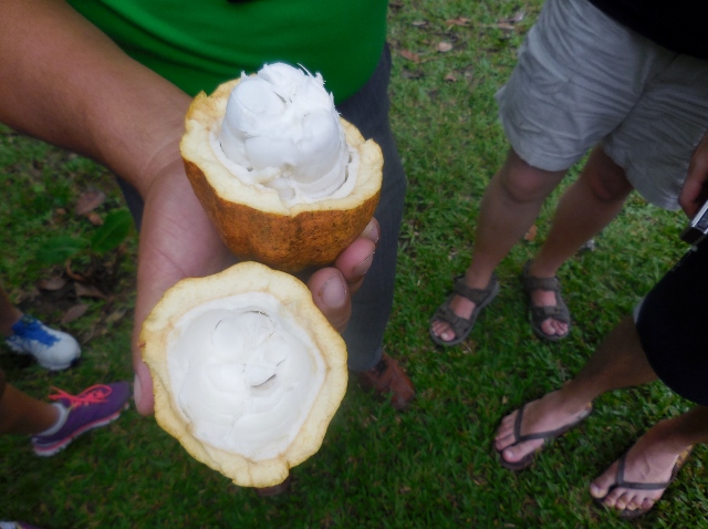 République Dominicaine