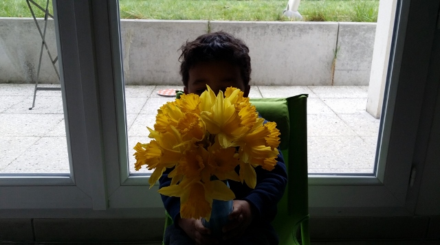 Une Jonquille pour Curie