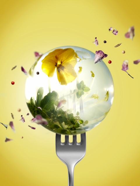 © FIPC 2015 – Nicolas Barret - Stylisme: Marion GUILLEMARD