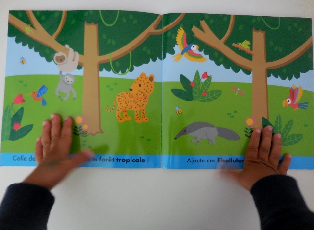 Les Animaux, J'apprends avec des stickers