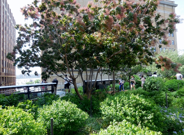 High Line
