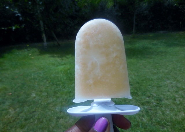 Kit à Esquimaux glacés Zoku Duo Quick Pop chez CadeauxFolies