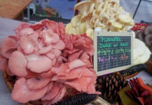 Semaines du Mangeons Local en Ile de France