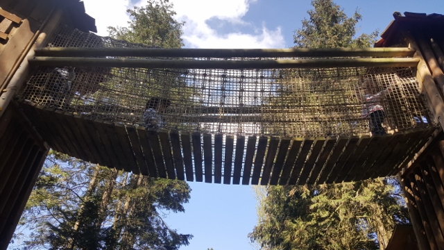 Willy West et compagnie à La Mer de Sable