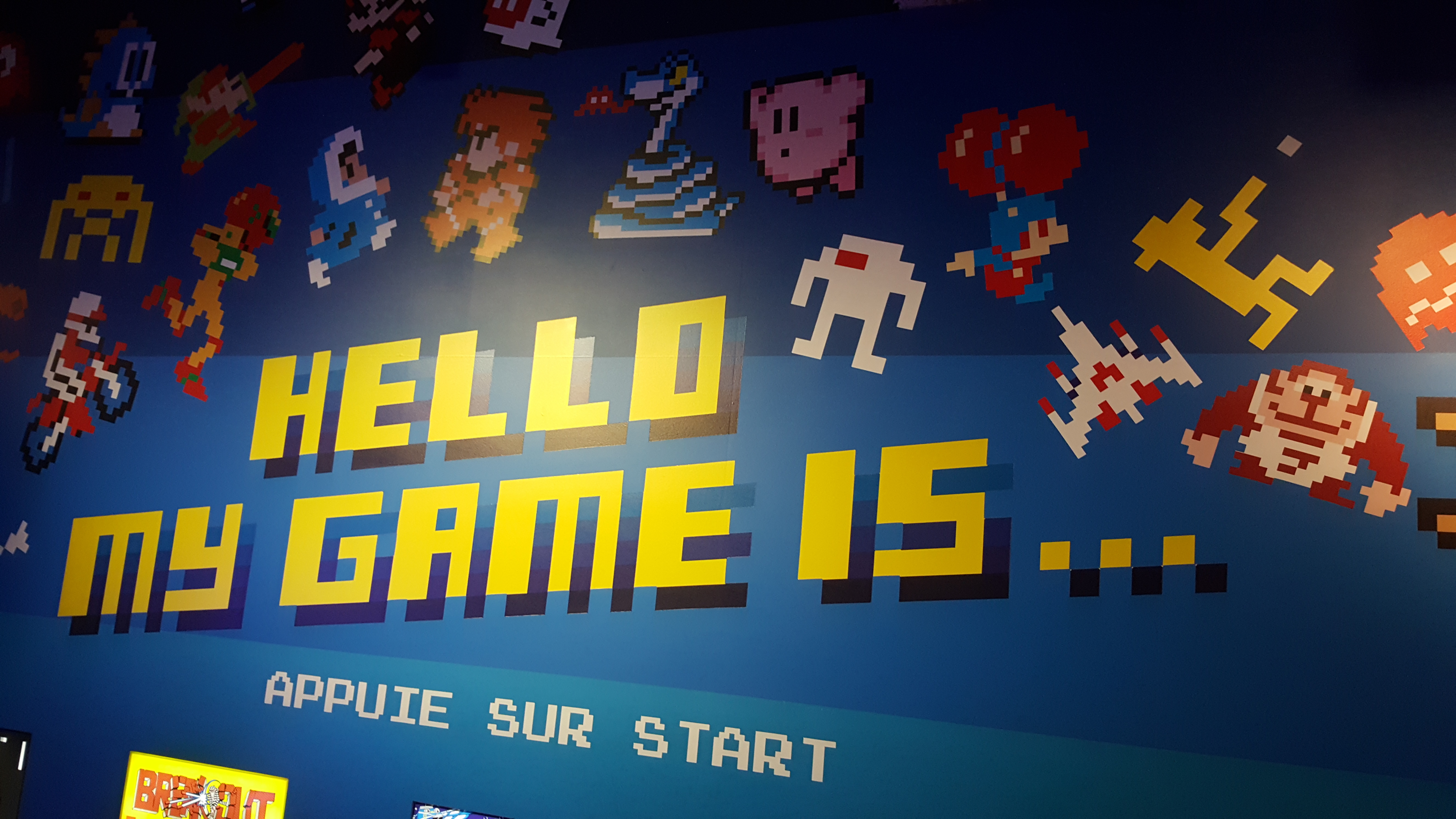 HELLO MY GAME IS INVADER MUSEE EN HERBE