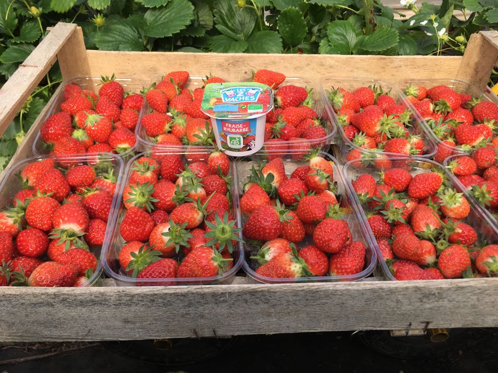 Yaourts bio Les 2 Vaches