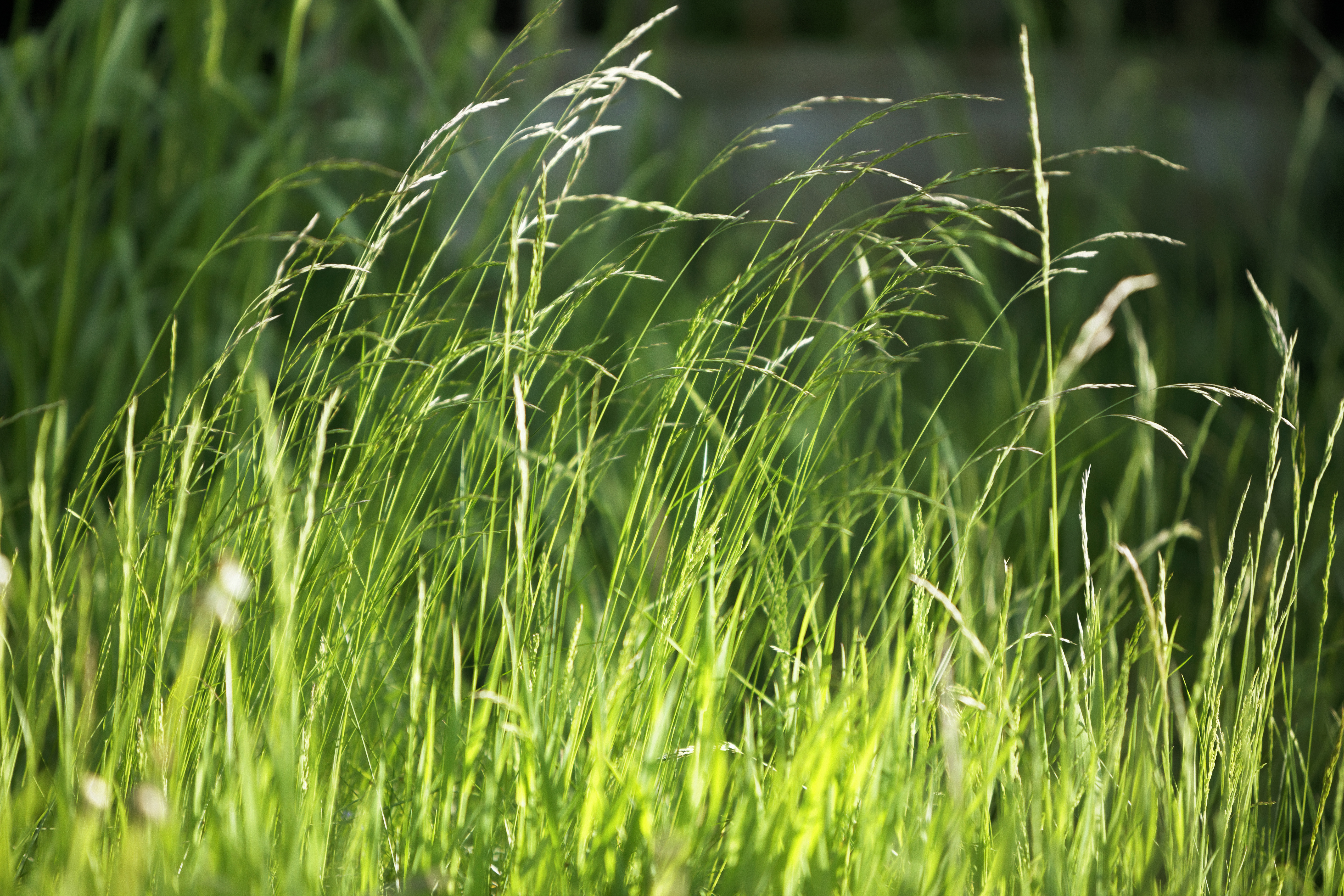 Ma modeste contribution pour le respect de l’environnement