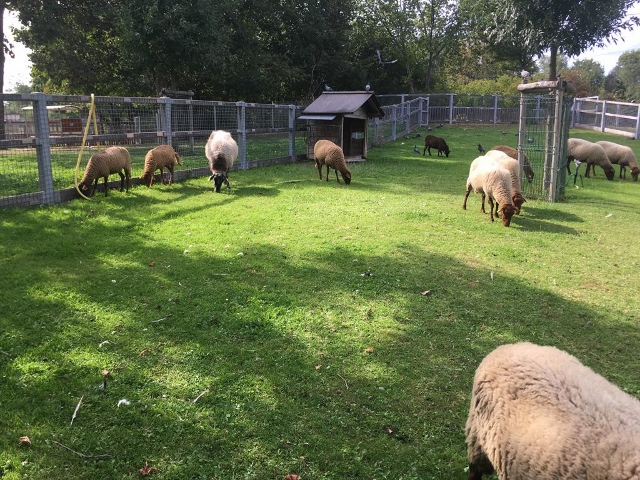 ferme des Chanteraines