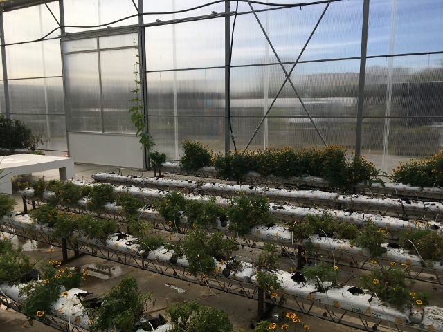 LA FERME OUVERTE Ferme urbaine de Saint Denis