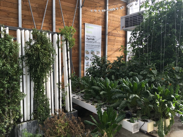 LA FERME OUVERTE Ferme urbaine de Saint Denis