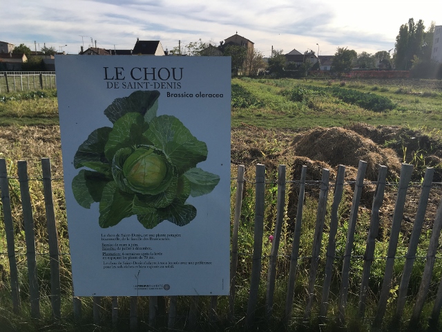 LA FERME OUVERTE Ferme urbaine de Saint Denis (17) 