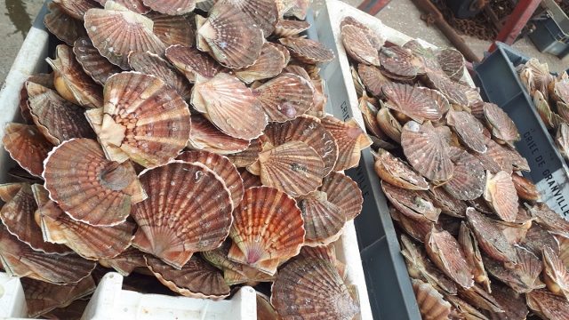 Le Fish Truck PAVILLON FRANCE