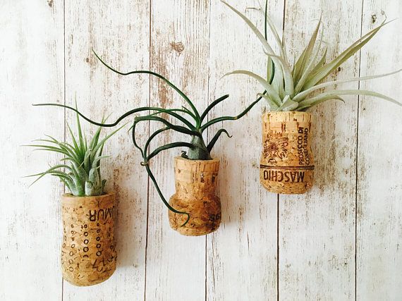 activités nature à faire en intérieur