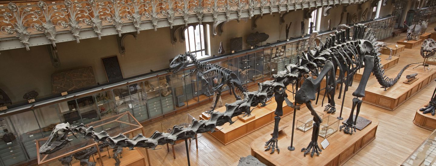 Muséum national d’Histoire naturelle