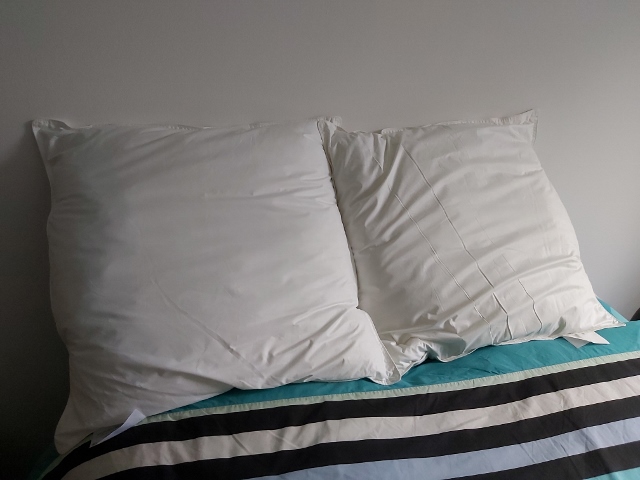 oreiller mémoire de forme