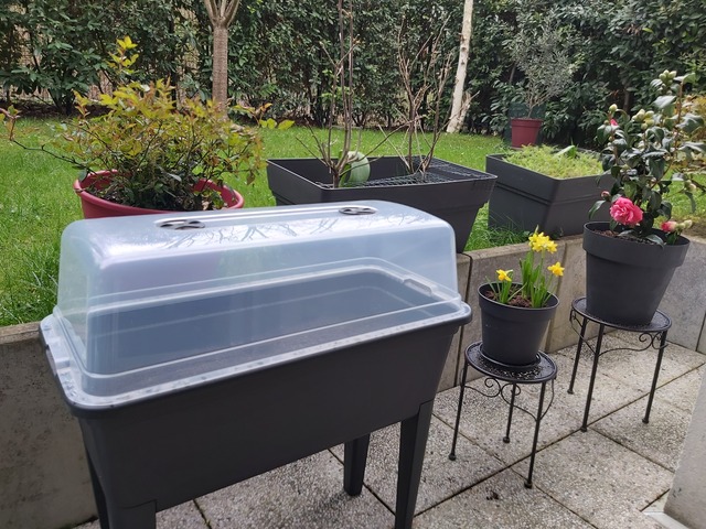 C’est le printemps