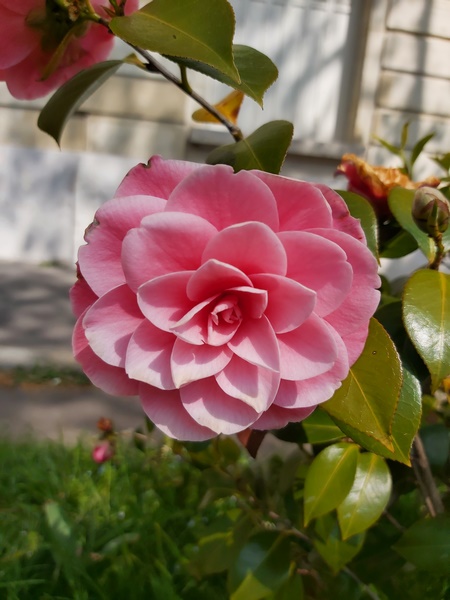 boulevard Saint Jacques