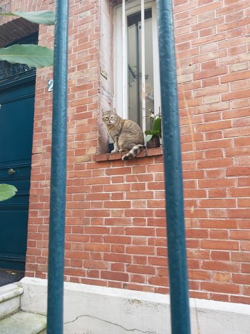 La villa des Tulipes