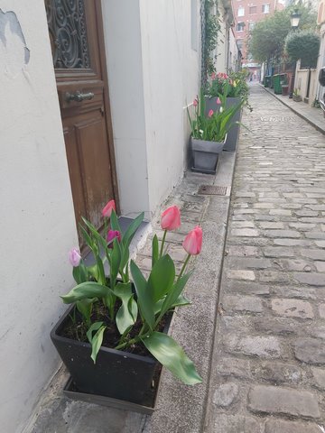 La villa des Tulipes