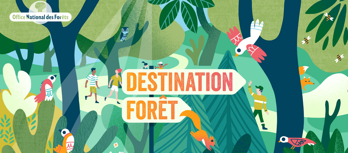 Destination forêt