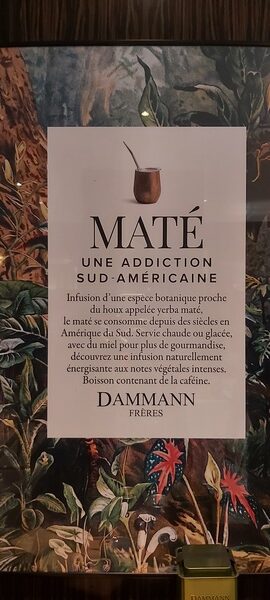 Noël la tête dans les étoiles avec Dammann Frères