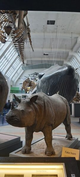 Natural History Museum