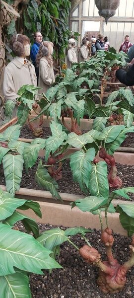 Visite des Studio Harry Potter à Londres