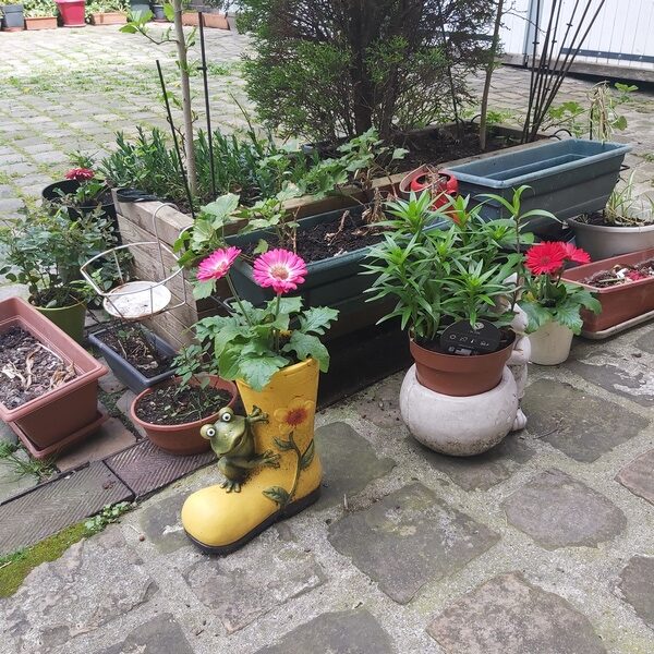 L'ancien Couvent des Ursulines à Saint Denis