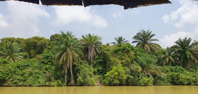Parc national des Îles Ehotilé