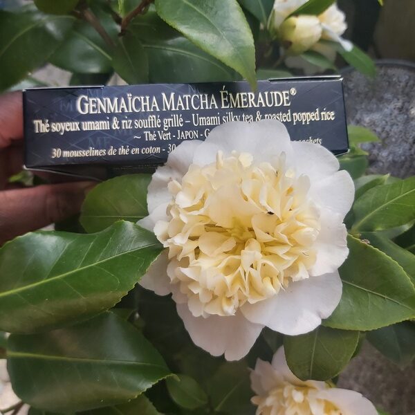 Thés Mariage Frères Genmaïcha Matcha Emeraude