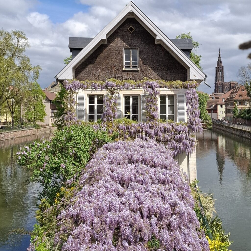 Strasbourg 
