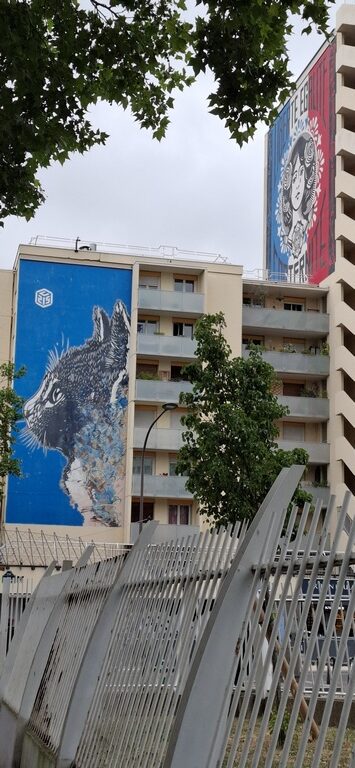 Shepard Fairey (Obey) & C215