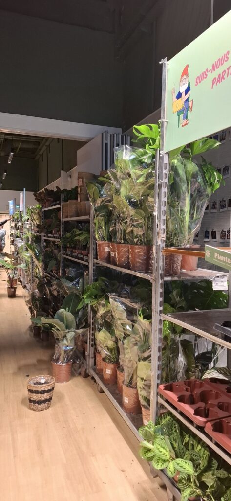 Grande vente de plantes by Plantes Pour Tous