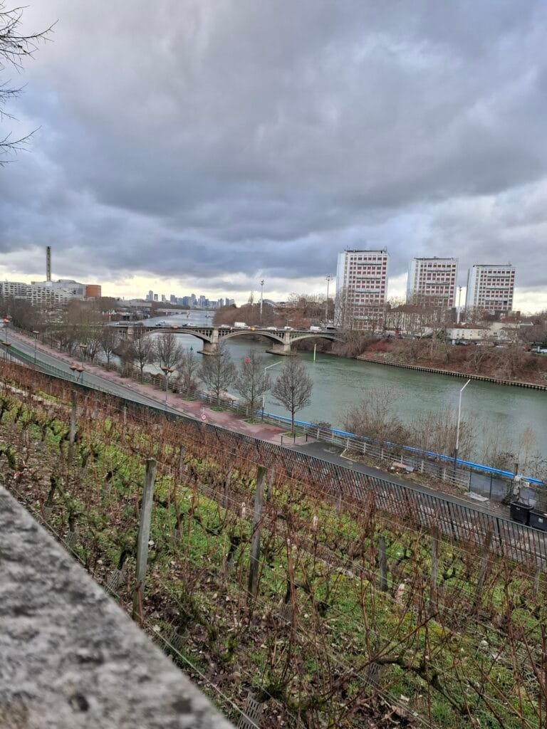 Les vignes de Saint-Ouen