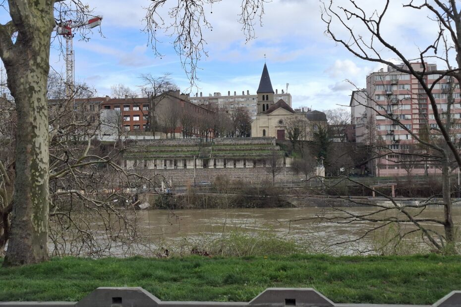 Les vignes de Saint-Ouen