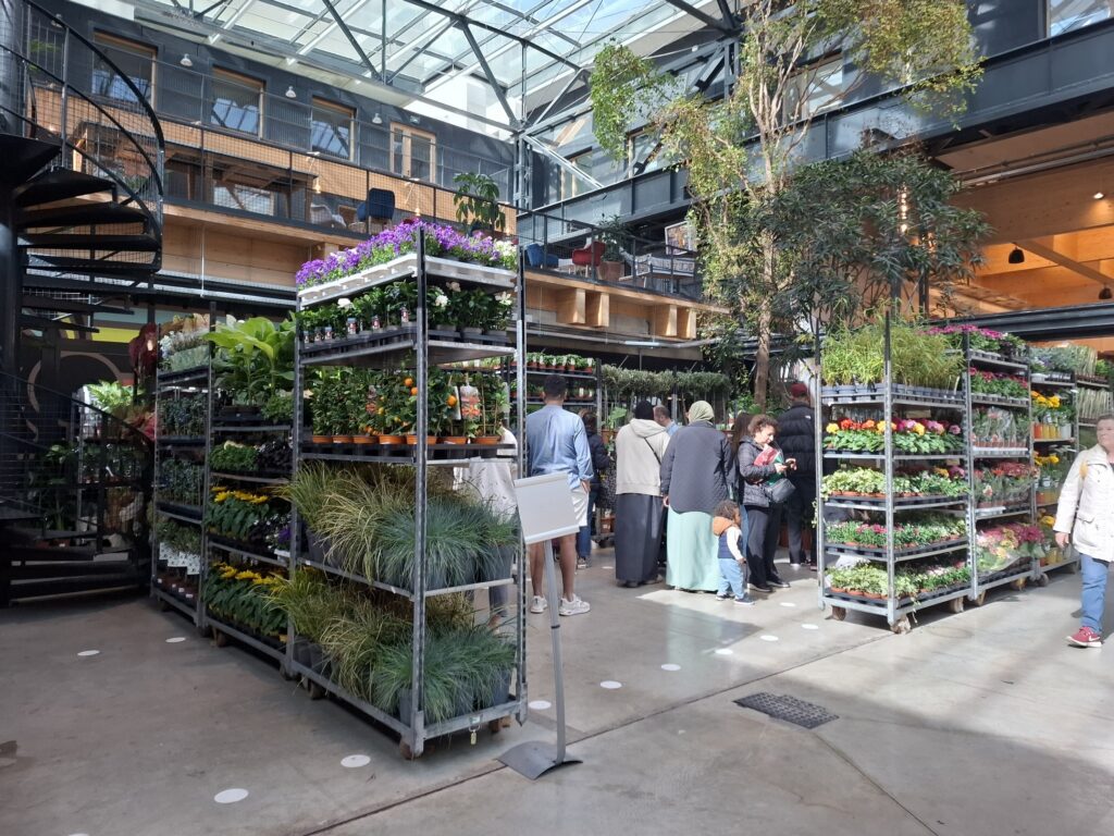 Grande Vente de Plantes by Plantes pour tous à Communale Saint-Ouen