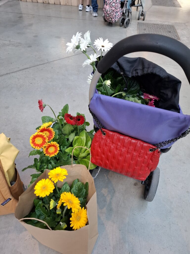 Grande Vente de Plantes by Plantes pour tous à Communale Saint-Ouen