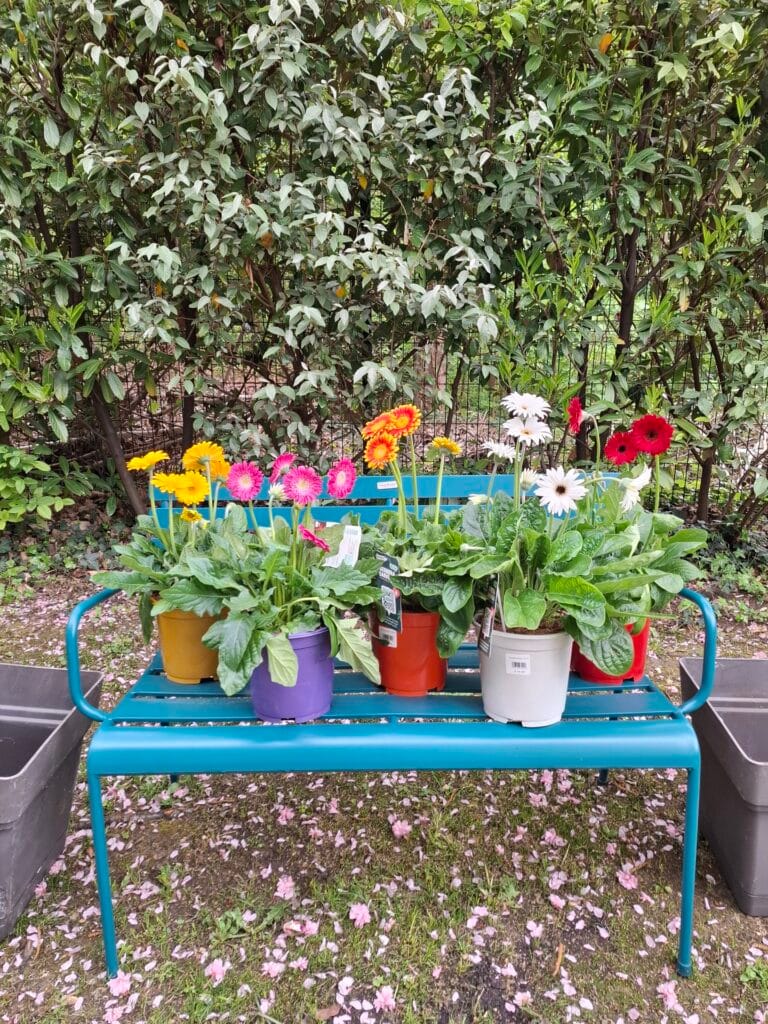 Grande Vente de Plantes by Plantes pour tous à Communale Saint-Ouen