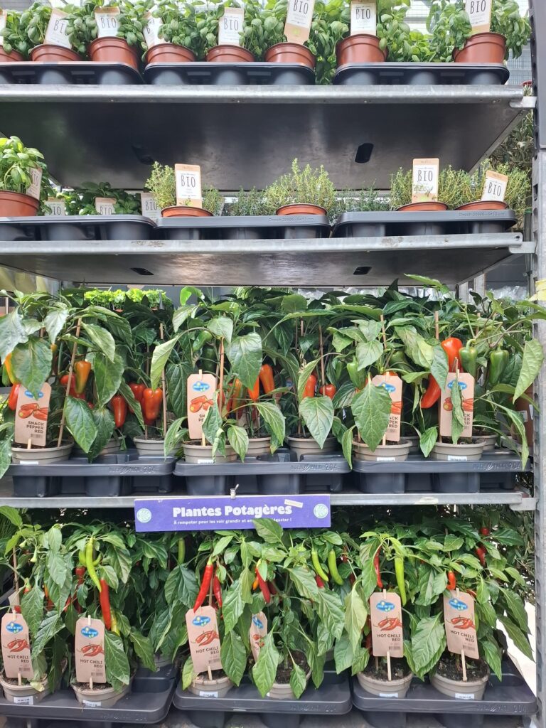 Grande Vente de Plantes by Plantes pour tous à Communale Saint-Ouen